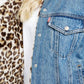 Levi'S - Premium Trucker Jacket