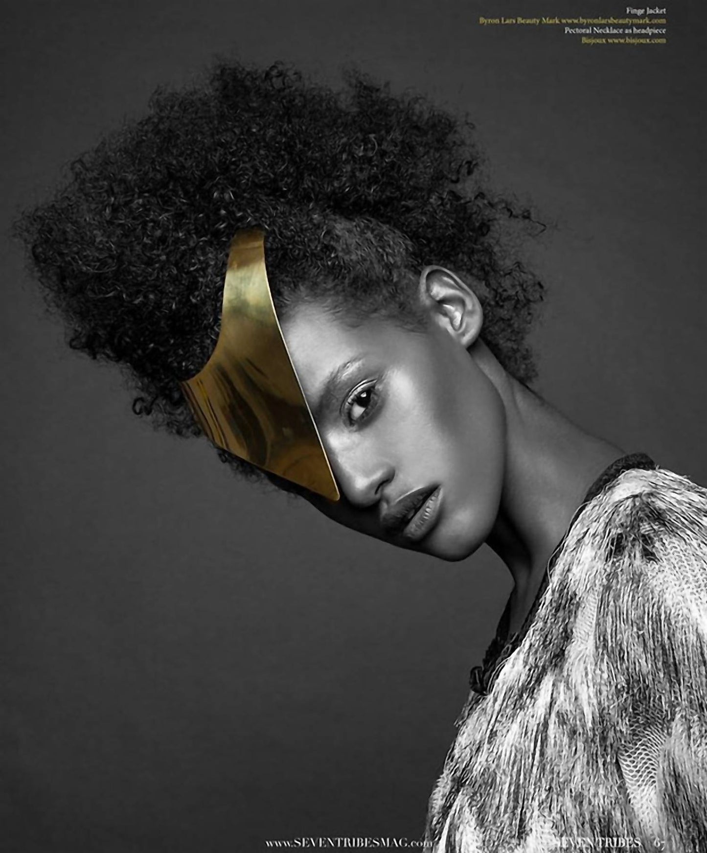 Avenue Chic - Pectoral Collar Necklace