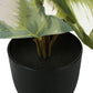 13" Tall Artificial Monstera and Calathea Plants, Set of 2