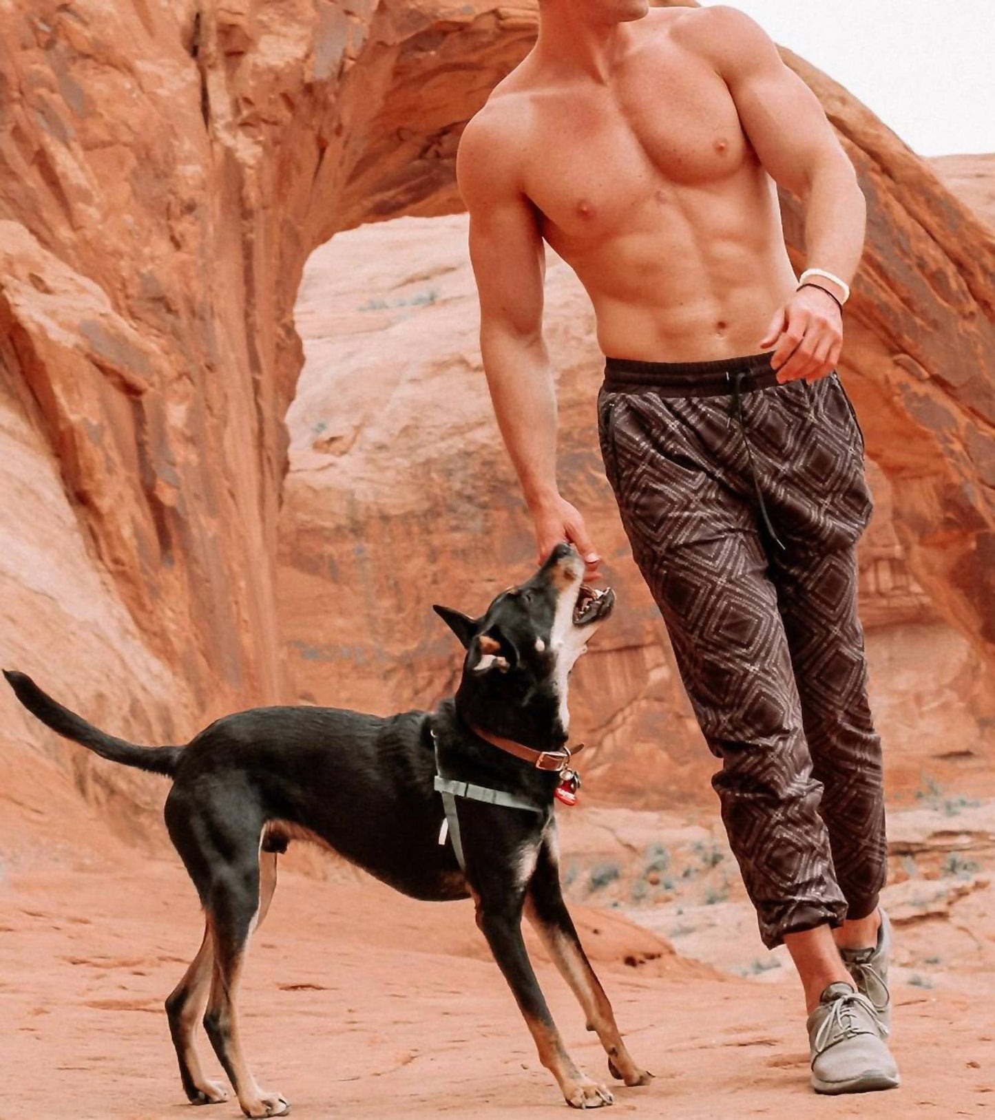 Wolven - Lineage Print Summit Jogger Pants