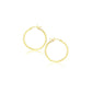14k Yellow Gold Polished Hoop Earrings (20 mm)