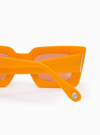 Aperçu Eyewear - Óculos de Sol Femininos Avry