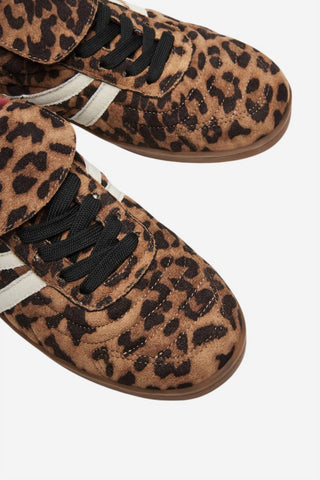 Steve Madden - Women's Madrid Sneaker Low Top Sneaker