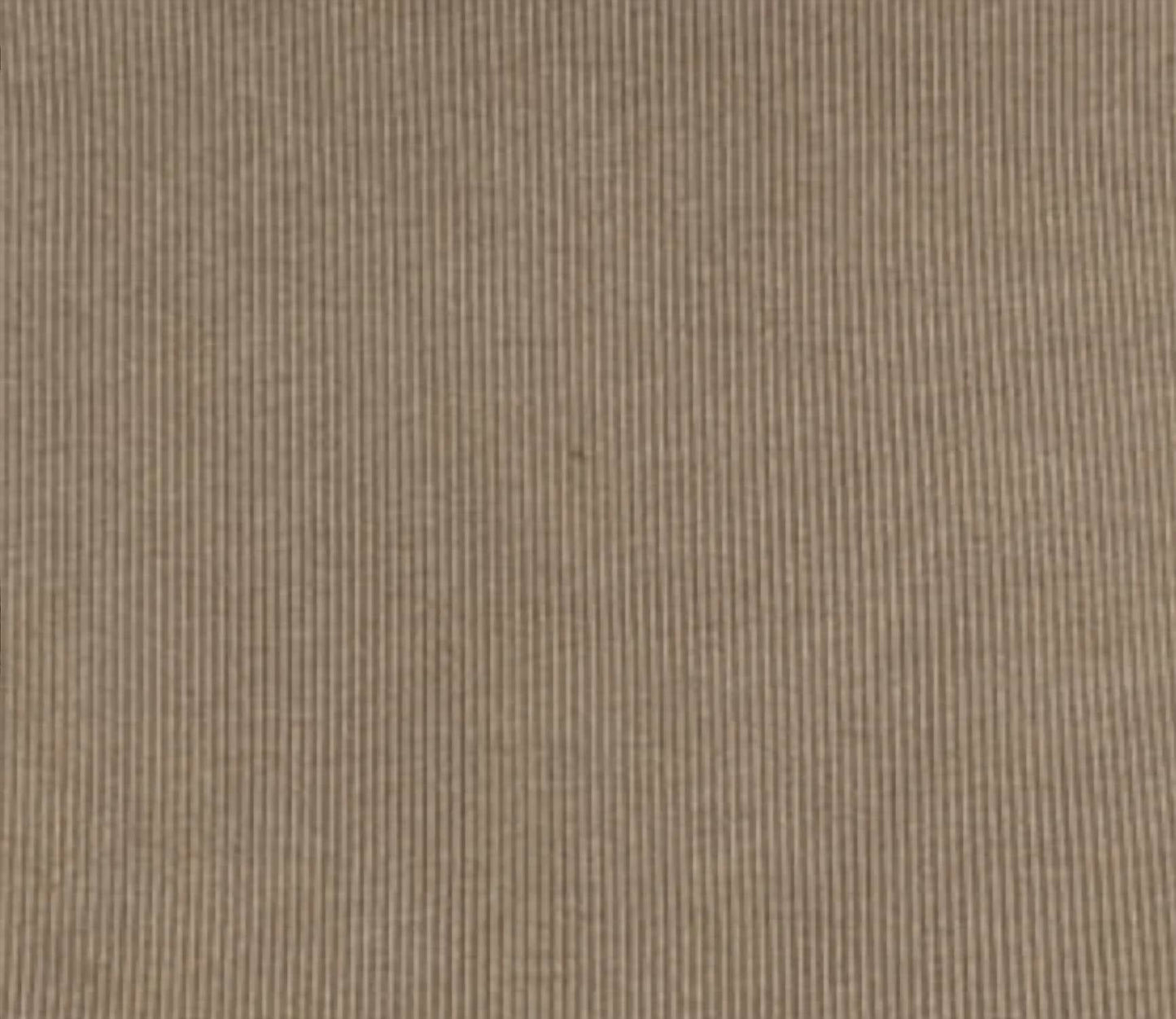 Agolde - Low Slung Baggy Jean