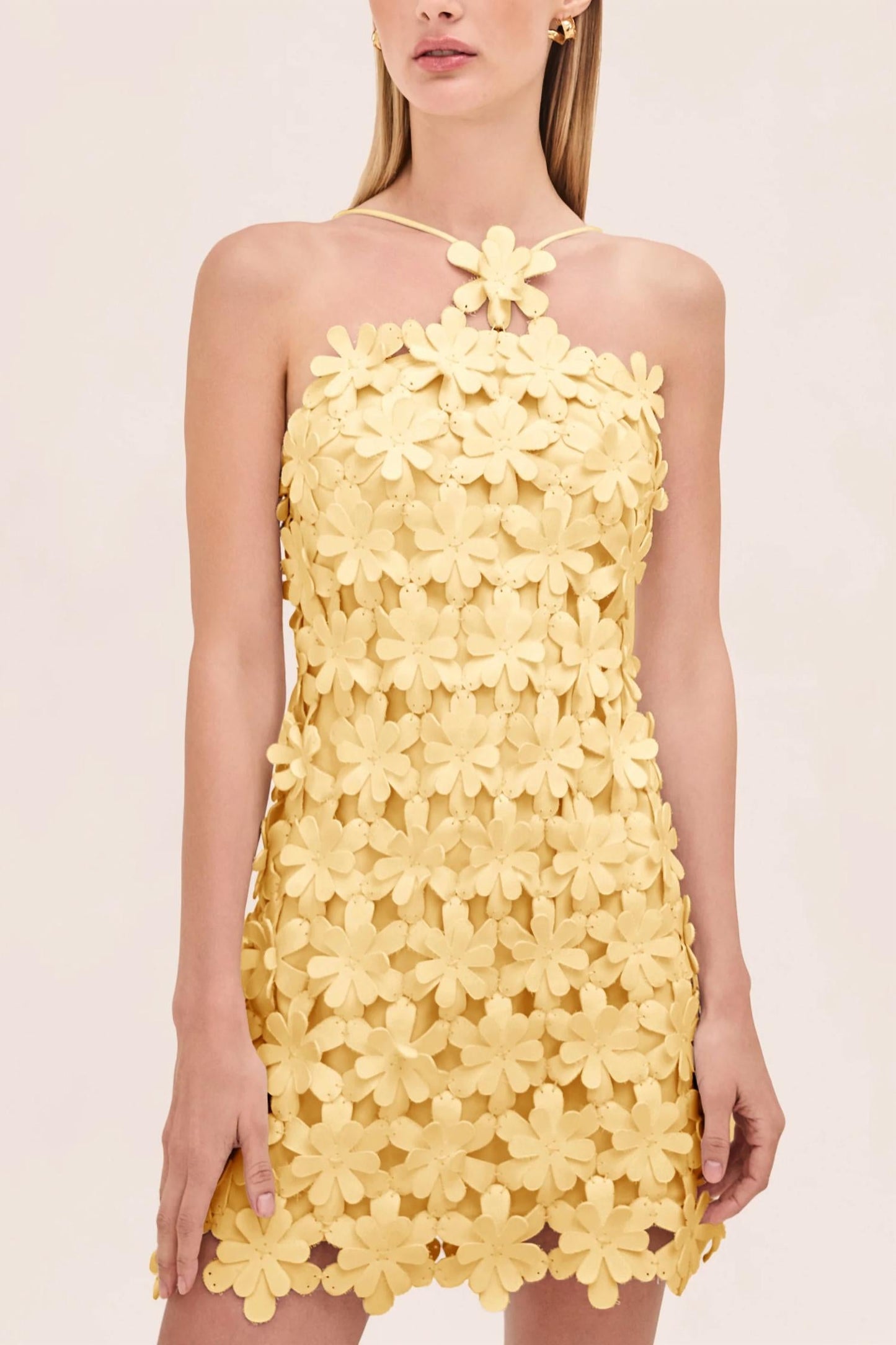 Alexis - Lily Halter Mini Dress