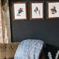 2Flyco - Ranchin' Collective Blanket
