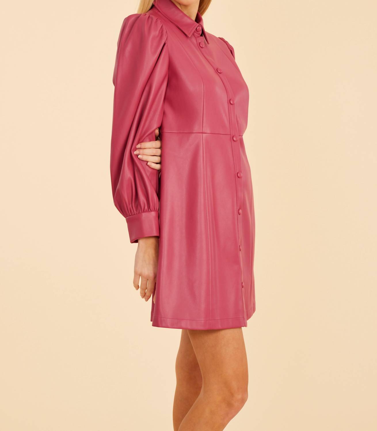 Dolce Cabo - Faux Leather Puff Shoulder Dress