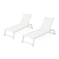 Myers Modern Chaise Lounge Set With Adjustable Back