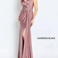 Cameron Blake - Sleeveless Jersey Sheath Gown