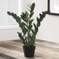29" Tall Artificial Zz Tree Indoor Faux Plant