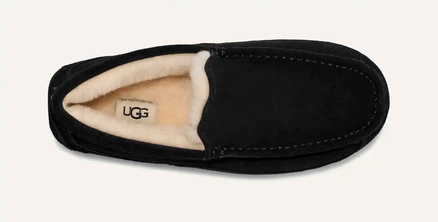 Ugg - Men Ascot Slipper