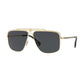 Versace - MEN'S 0VE2242 SUNGLASSES