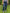 judy-blue-completely-committed-boyfriend-jeans