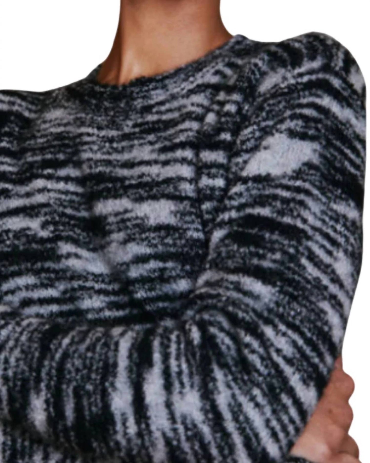 Autumn Cashmere - Tiger Stripe Chunky Crew Sweater