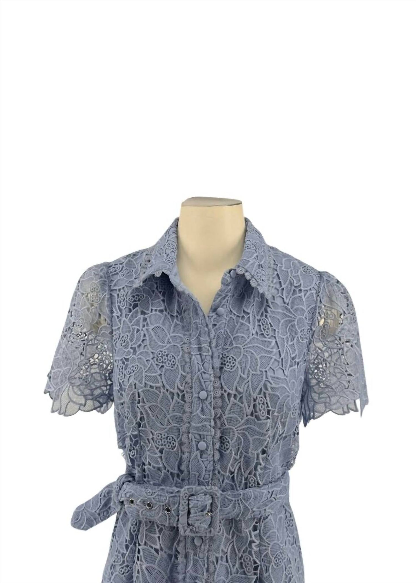 Allison New York - Eyelet Midi Collar Dress