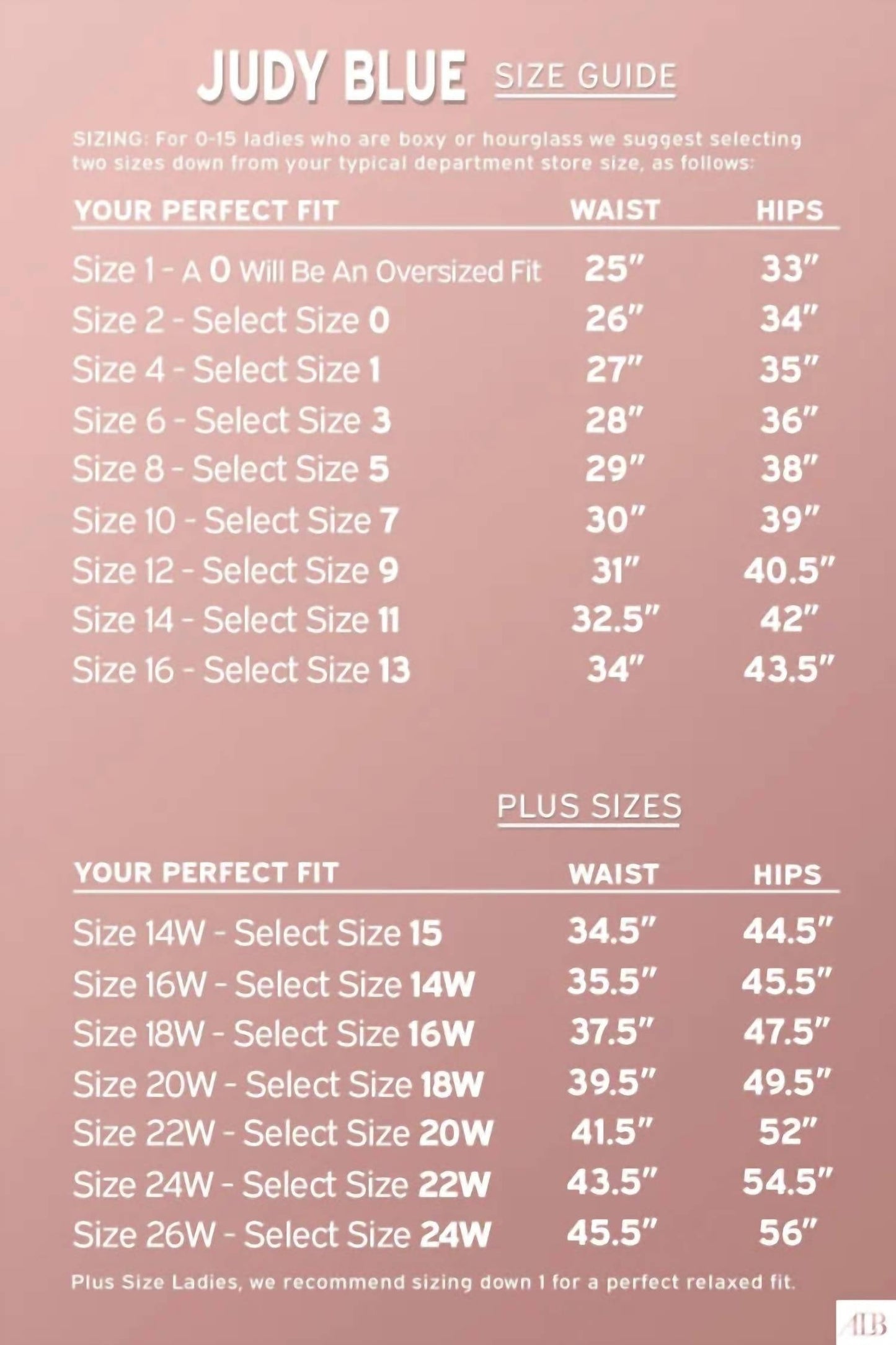 Judy Blue - The Josie High-Rise Garment Dyed Denim Jogger