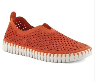 Ilse Jacobsen - Women's Camelia Tulip Shoe