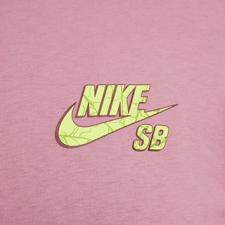 Nike - Camiseta de gola redonda Sb Spider