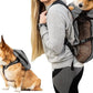 K9 Sport Sack - Lightweight & Packable Carrier With Harness & Storage