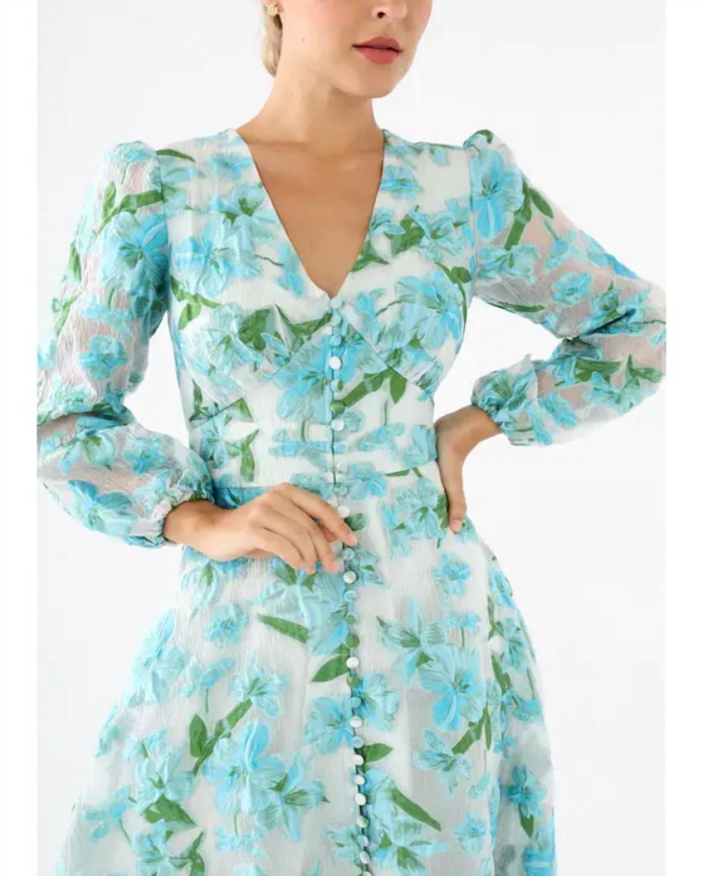 Abbey Glass - Brooke Sheer Sleeves Gown
