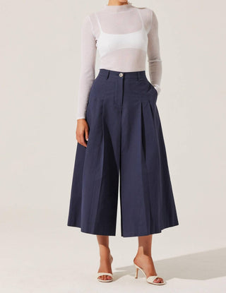 Astr - Rowen Pleated Culotte Pants