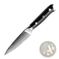 Damascus Steel Kitchen Knife Set 4 Piece G10 Handle