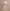 Varley - Extra Wide Leg Pant