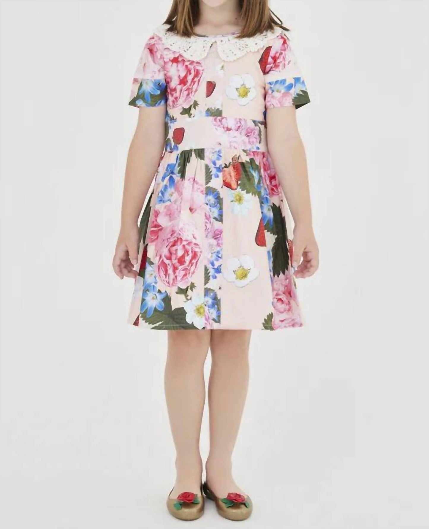 Sasha+Z - Strawberry & Peonies Printed Dress