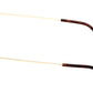 Tom Ford - Women's Evangeline Sunglasses
