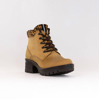 Dromedaris - Women's Karlie Lace-up Ankle Boot