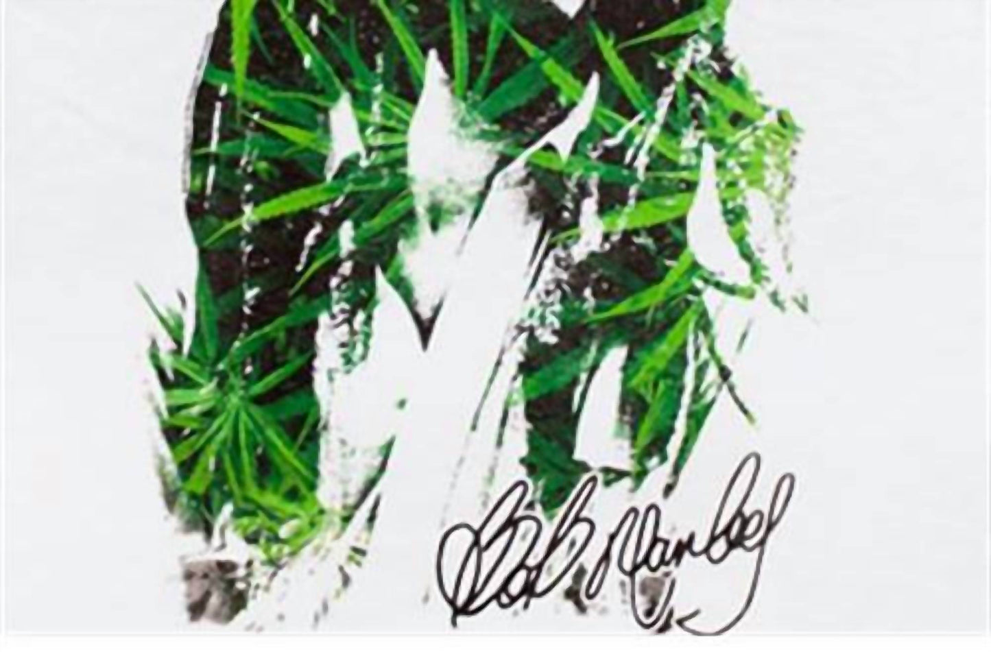 Bob Marley - Teen's Leaves Dreads T-shirt