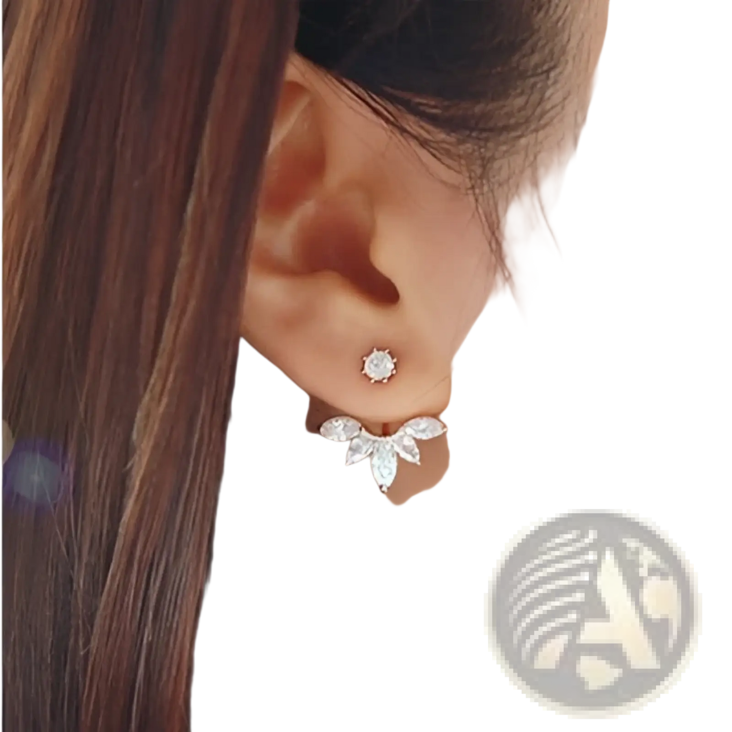 Diamond and Crystal Floral Jewelry and Accessory Set