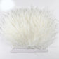 Premium Feather Fringe and Ostrich Trim for Diy Fashion