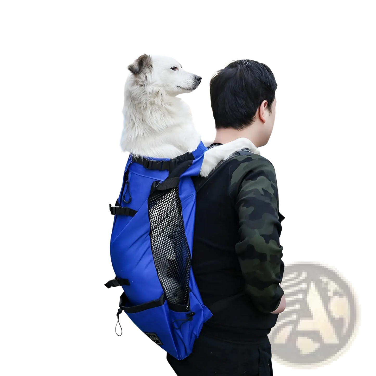Dog Carrier Backpack Portable Mesh Travel Bag