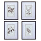 Verdura Botanica: Four-Print Houseplant Pencil Art Set