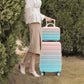 14"/20" 2-Pieces PC Spinner Wheel Carry On Luggage Set