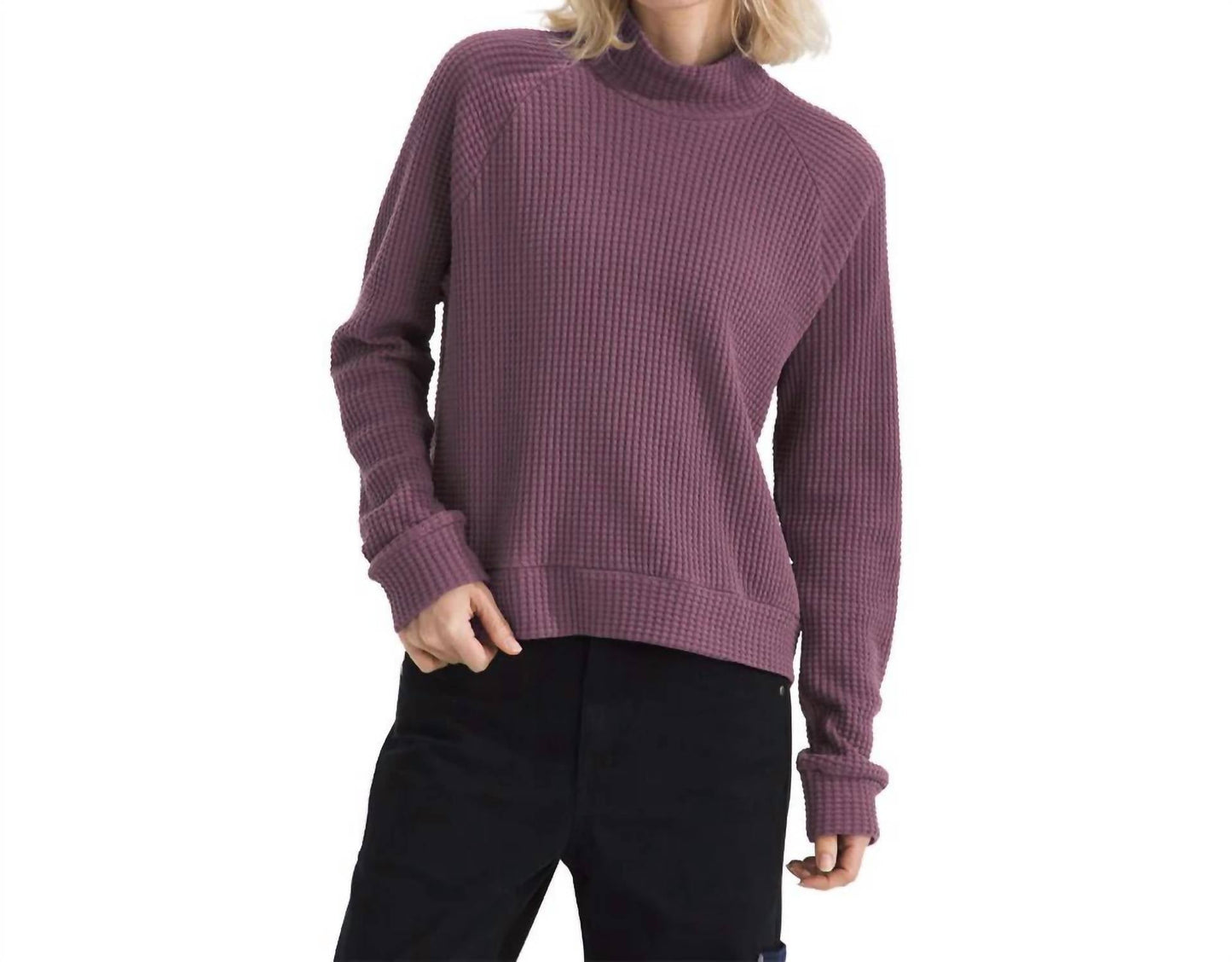 The North Face - Mock Neck Chabot Pullover