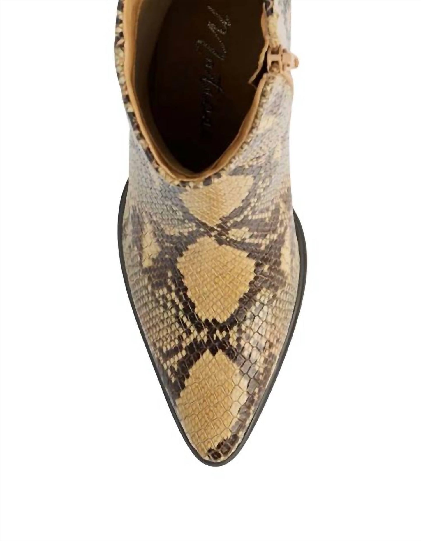 Matisse - Gabbie Snake Boots