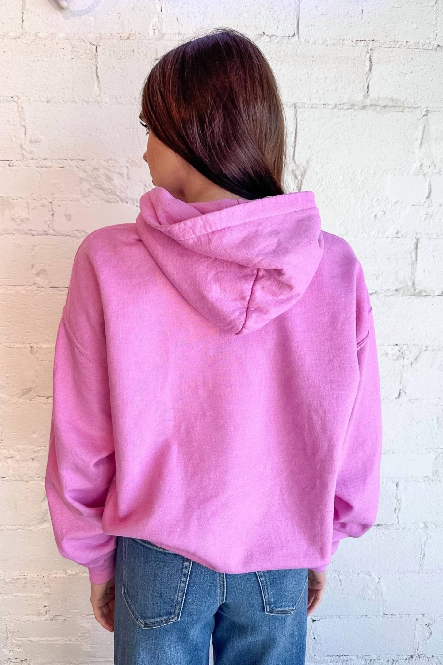Project Social T - Lowen Sun Faded Hoodie