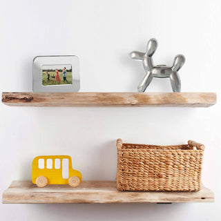 Creative Gifts International - Banco de Balões para Cães