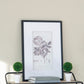 Verdura Botanica: Four-Print Houseplant Pencil Art Set