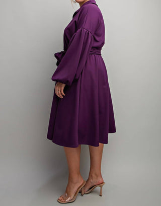The Curve La - Plus Size Button Front Fit And Flare Dress With Pockets