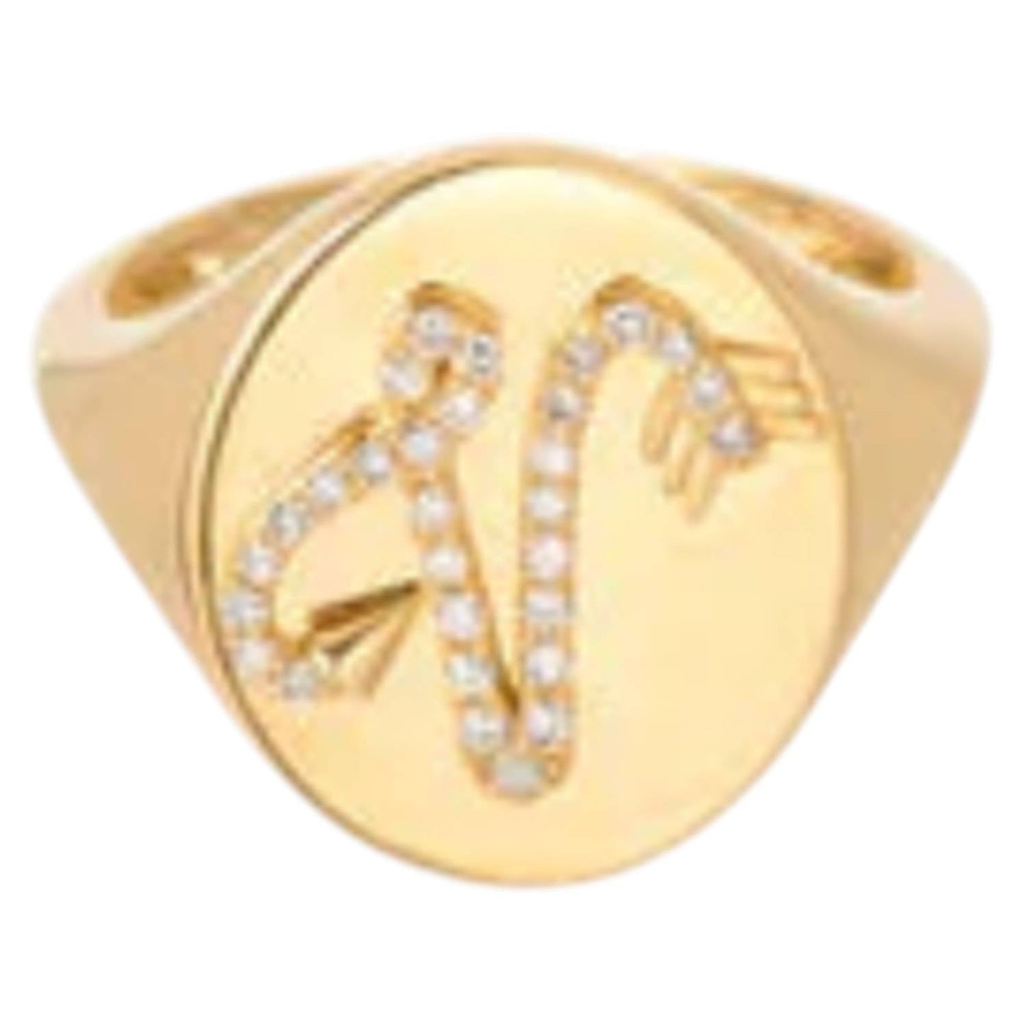 Adina Reyter - Women's Diamond Arrow Initial Signet Ring - V