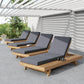 Lounge Chaise Set with Space Available on One Side