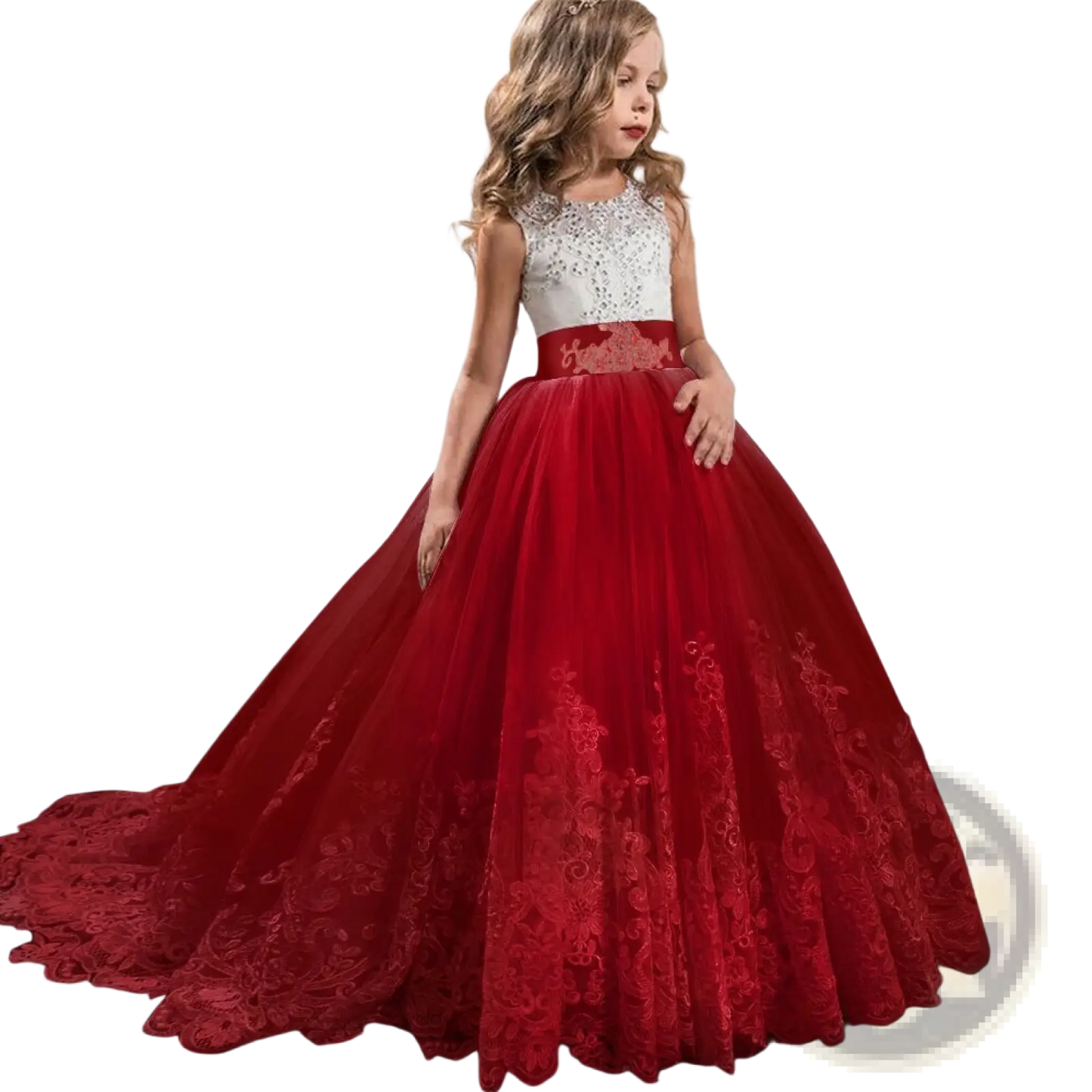 Embellished Lace Tulle Flower Girl Princess Gown
