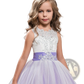 Embellished Lace Tulle Flower Girl Princess Gown
