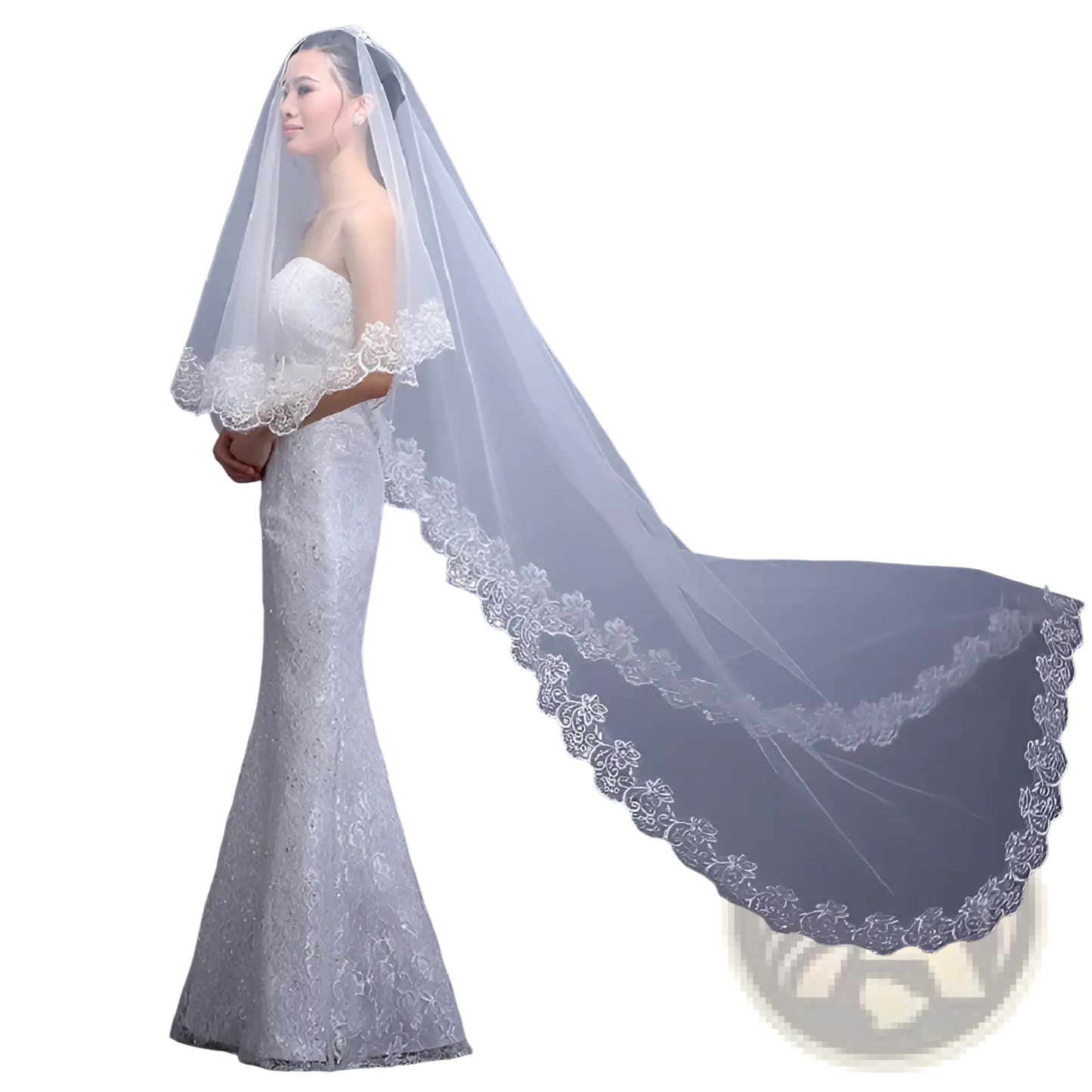 Embroidered Floral Lace Cathedral Wedding Veil