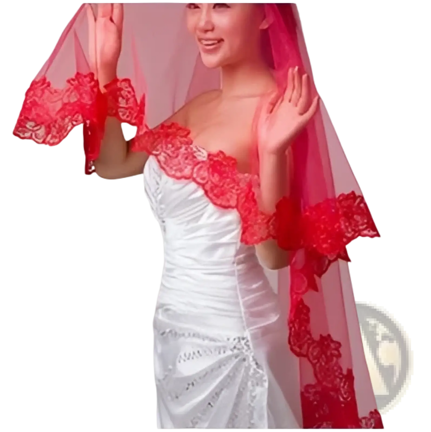 Embroidered Floral Lace Cathedral Wedding Veil