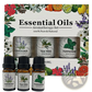 Essential Oil Set Lavender Tea Tree Peppermint 3 Pack