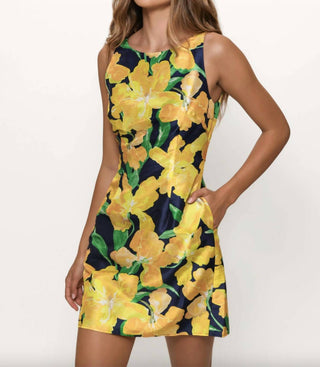 Hutch - Ren Dress